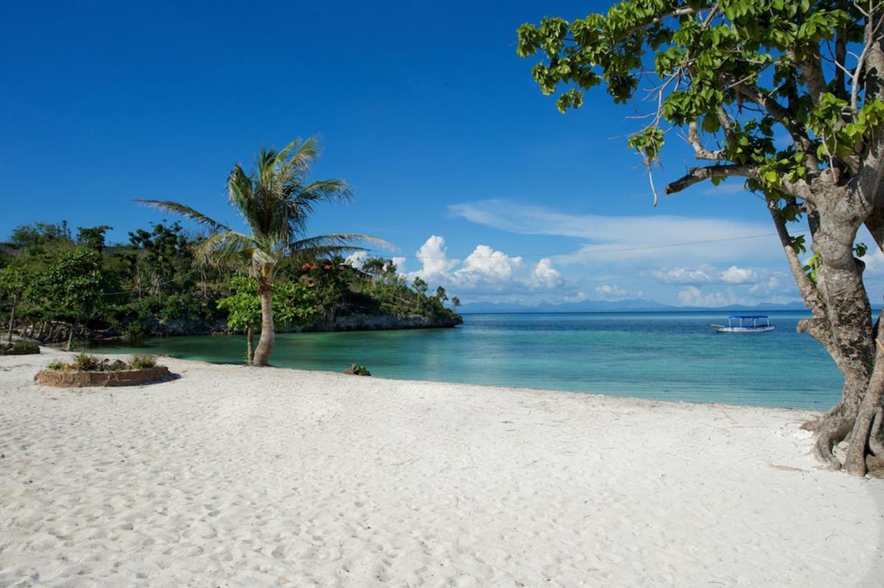 Thresher Cove Dive Resort Malapascua Zimmer foto